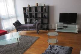 Location appartement meublé, Racine